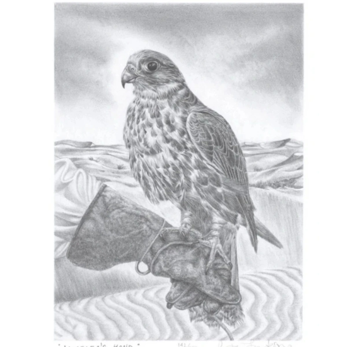 4 Limited Edition Numbered Lithographs