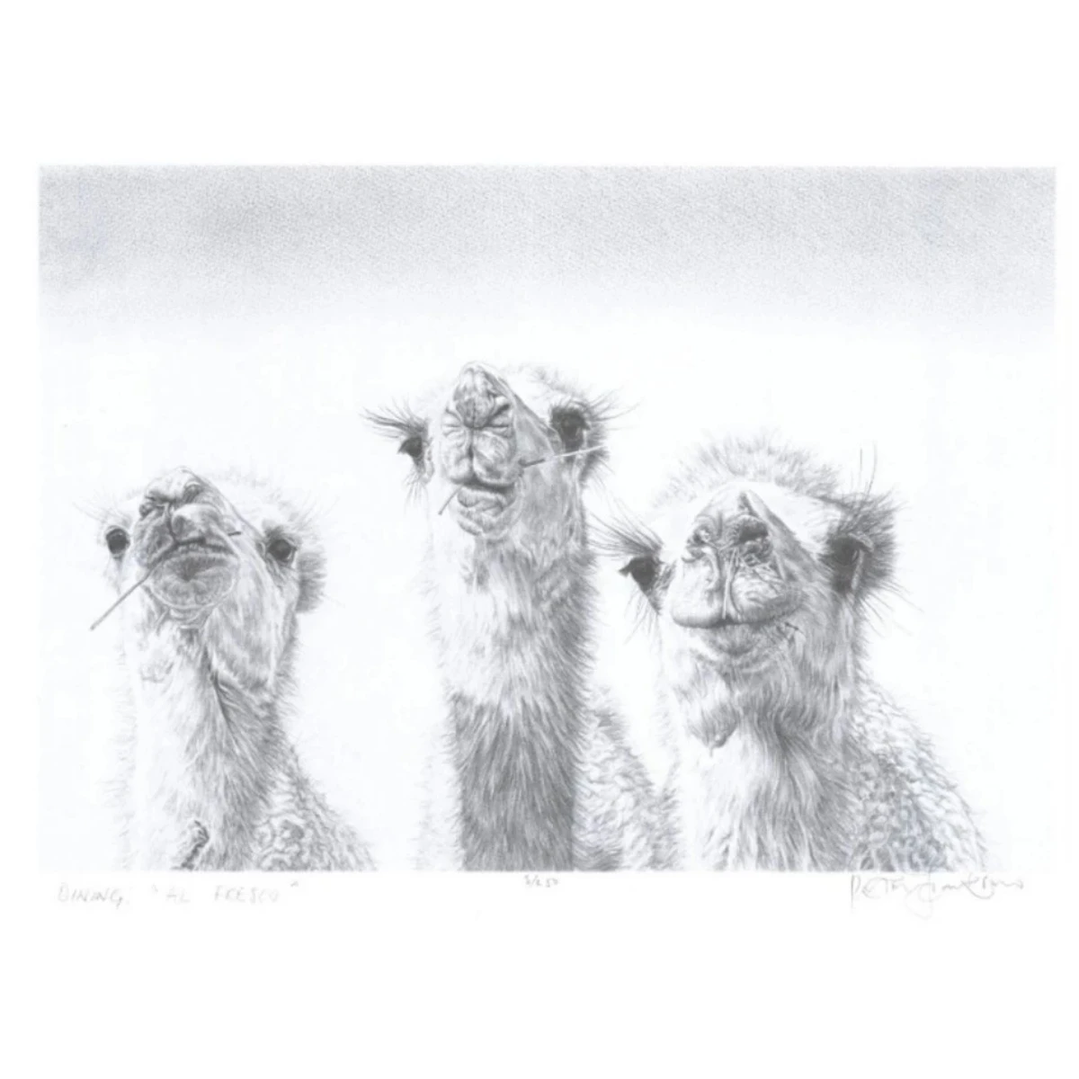 4 Limited Edition Numbered Lithographs