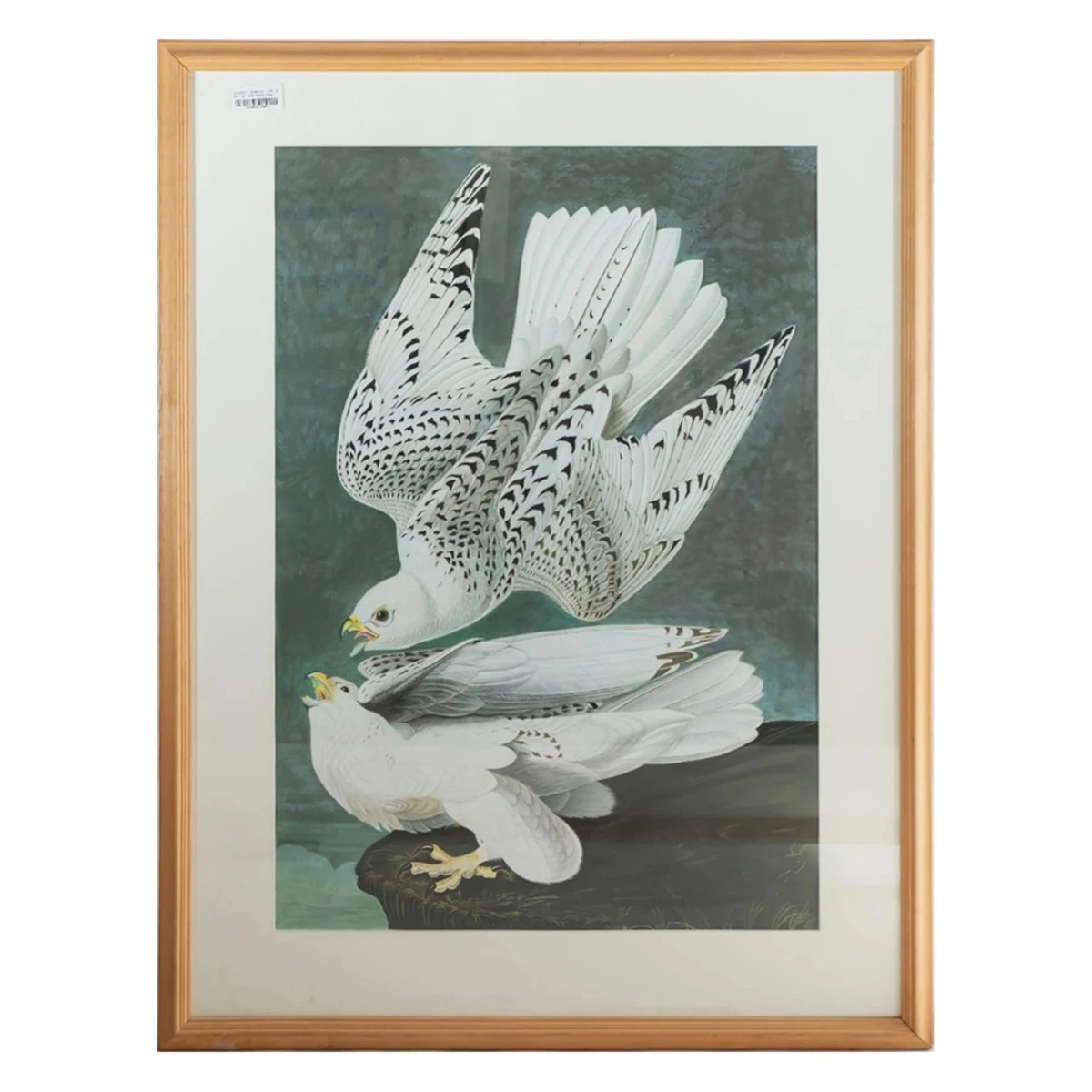 AFTER JOHN JAMES AUDUBON (AMERICAN,1785-1851)